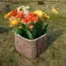 Цветник КАНЬОН купить в Симферополe