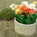 Цветник КАНЬОН купить в Симферополe