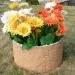 Цветник КАНЬОН купить в Симферополe