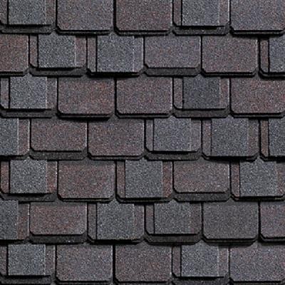 Двухслойная ламинированная черепица Shinglas, серия Континент – Азия купить в Симферополe